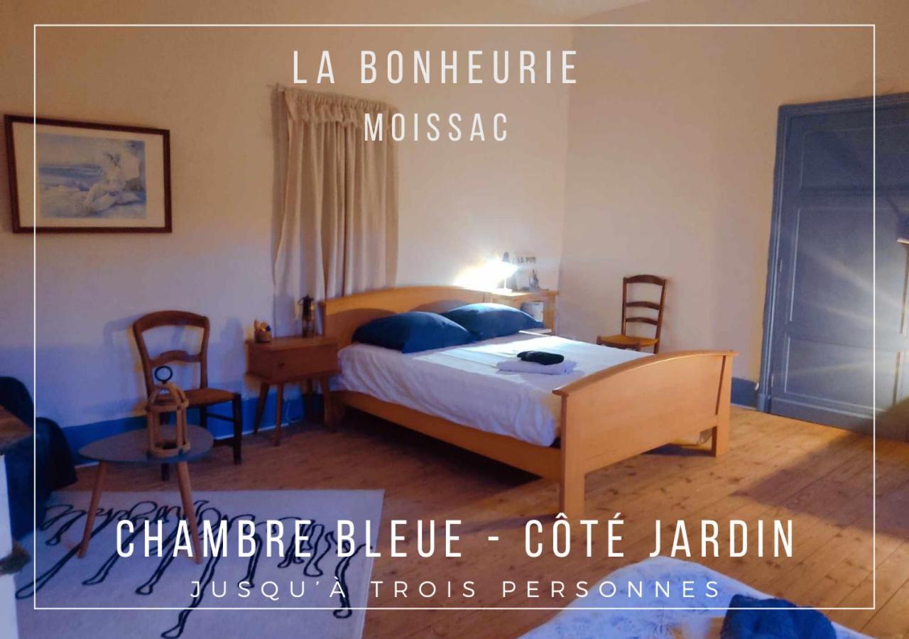 La Bonheurie - Chambres Chez L'Habitant モアサック エクステリア 写真